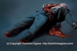 Toshihiro Egawa_14