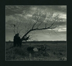 Depressing Places_14