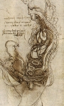Leonardo da Vinci_12