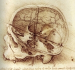 Leonardo da Vinci_24