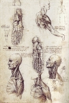 Leonardo da Vinci_37