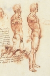 Leonardo da Vinci_45